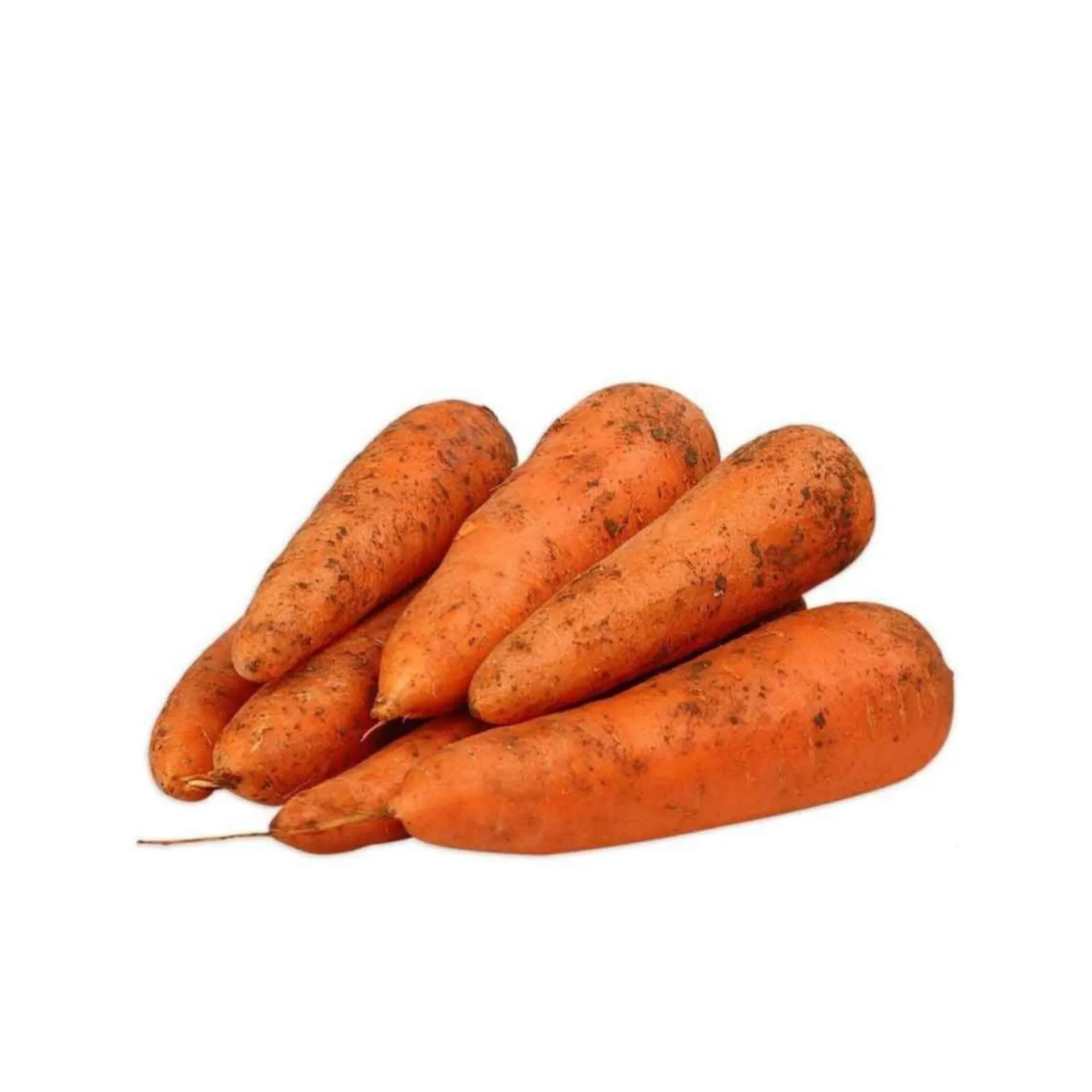 картинка Морковь в магазине Ураешка